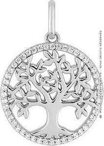 Médaille Arbre de Vie entourage oxydes