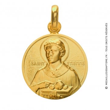 Médaille Saint Etienne - Monnaie de Paris