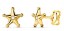 Boucles d'oreilles Etoile oxyde