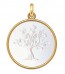 Médaille Arbre de Vie (Or & Nacre)