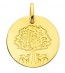 Médaille l'arbre de vie protecteur (Or Jaune)
