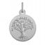 Médaille arbre de vie (Argent)