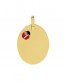 Pendentif Plaque Ovale & Coccinelle Rouge et Noire (Or Jaune)