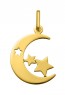 Pendentif Lune étoilée (Or jaune)