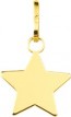 Pendentif Mon Etoile (Or jaune 9k)